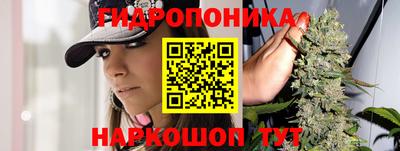PSILOCYBIN Комсомольск-на-Амуре