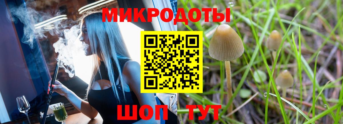 Галлюциногенные грибы Psilocybe  Вход с VPN  Галлюциногенные грибы мухоморы  Королёв 